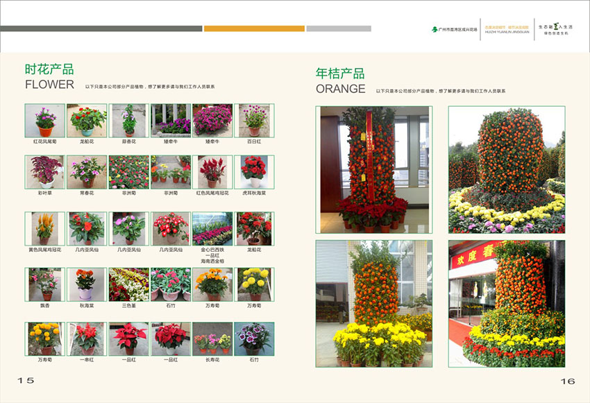廣州花場(chǎng)苗木畫(huà)冊(cè)設(shè)計(jì),花場(chǎng)苗木畫(huà)冊(cè)設(shè)計(jì)公司