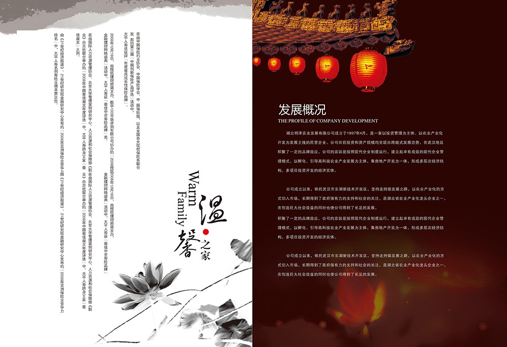 中國韻味畫冊設(shè)計,古風畫冊設(shè)計