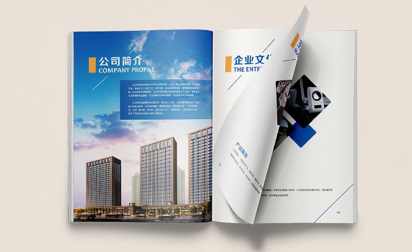 廣州電子畫冊樣板設(shè)計(jì)案例欣賞