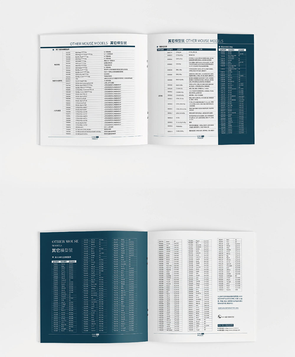 模型企業(yè)畫冊設(shè)計(jì),模型企業(yè)畫冊設(shè)計(jì)公司